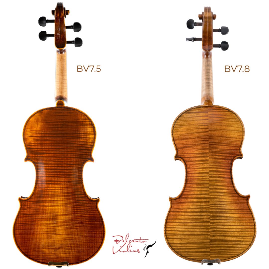 A One-Piece Or a Two-Piece Back Violin Choice Explained 